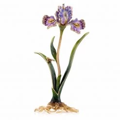 Jay Strongwater Vincent Iris Objet