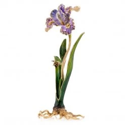Jay Strongwater Vincent Iris Objet