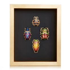 Jay Strongwater William Beetle Wall Art