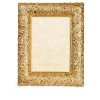 Jay Strongwater FRAMES Katerina Ruffle Edge Floral 5" X 7" Frame - Gold